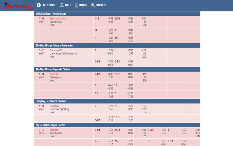 Về chúng tôi - Keonhacai.army